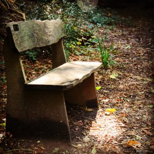 Seat at Brandy Hole Copse