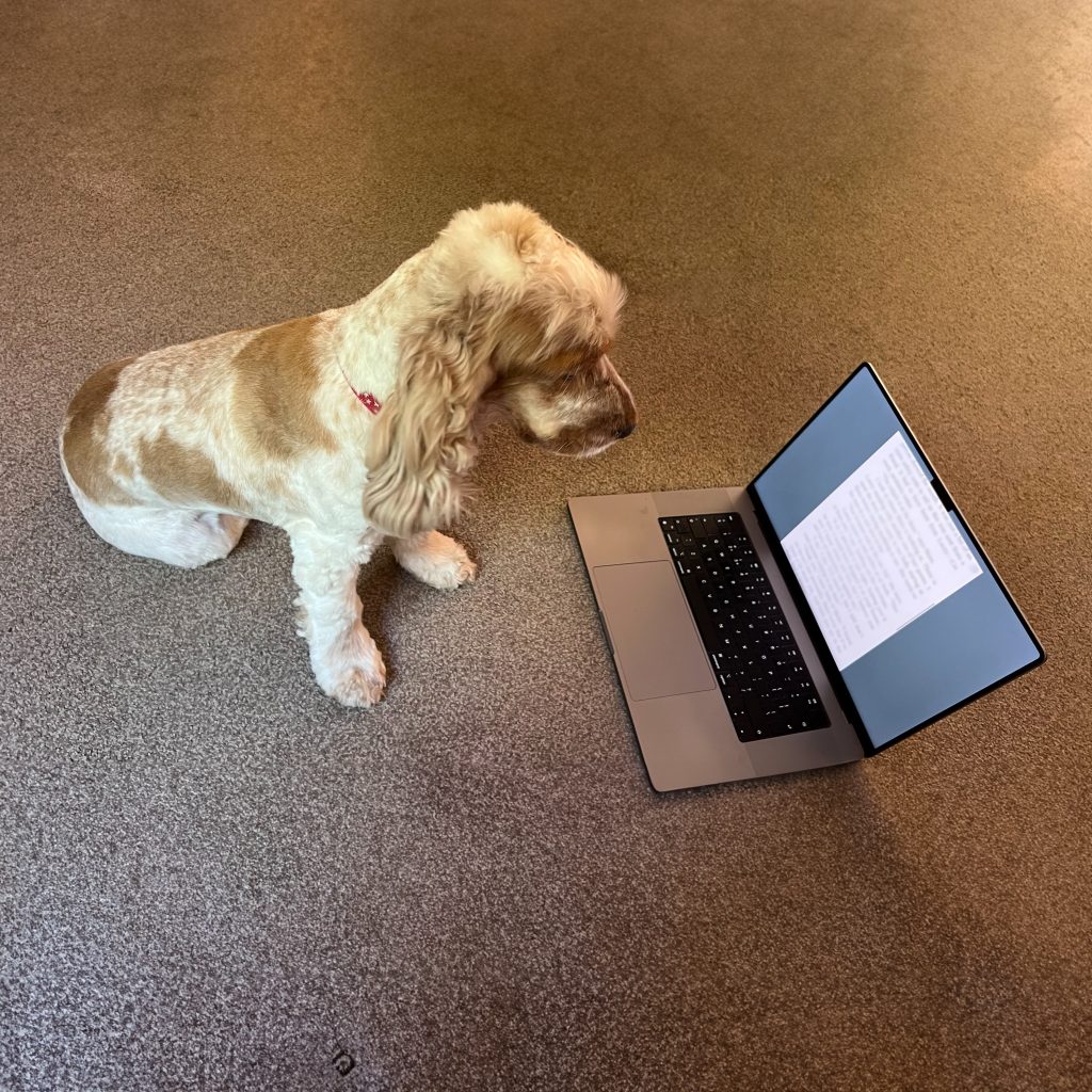 Become a writer. Poppy, reading my new novel