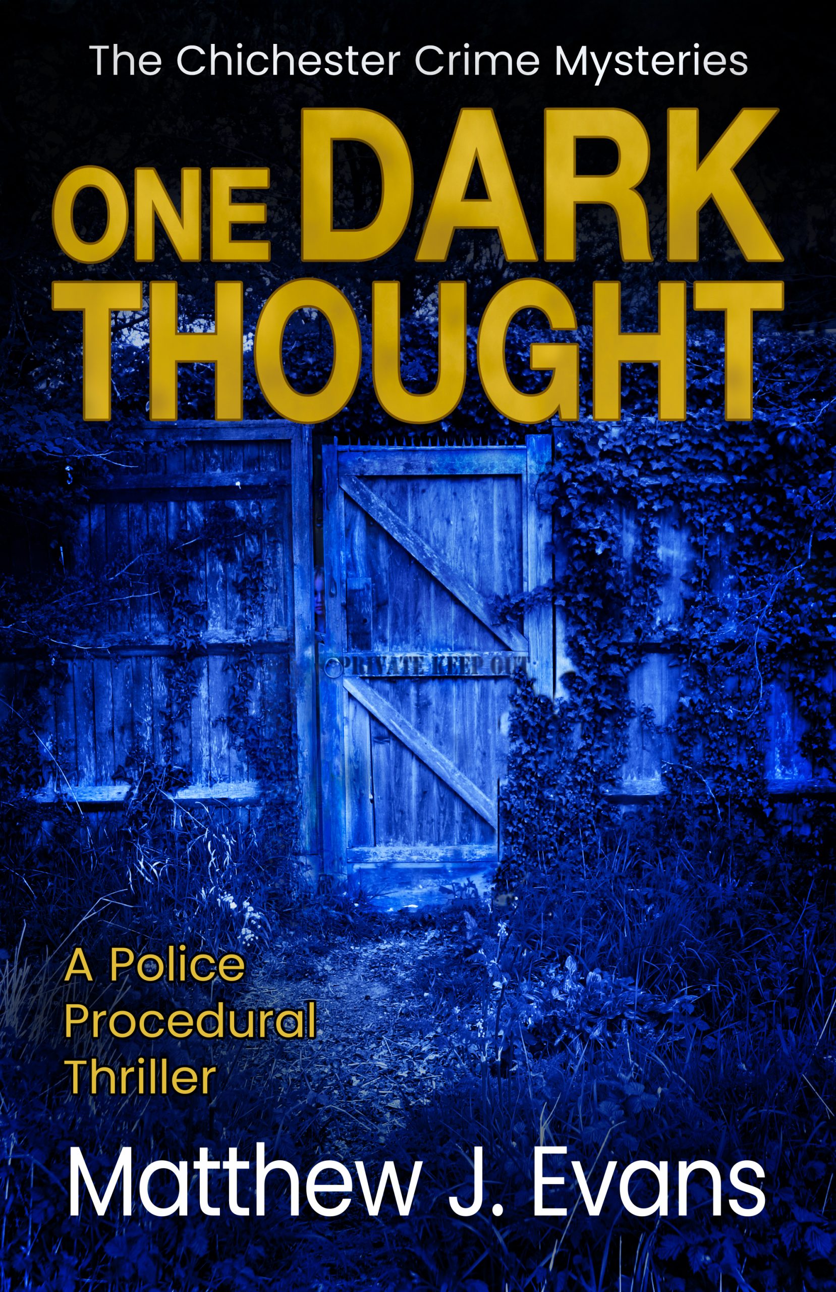 One Dark Thought cover